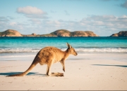 澳洲168-了解澳大利亚宝贵的水资源和独特的气候