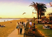 澳洲168-在澳大利亚夏季保持安全和凉爽的 5 种方法