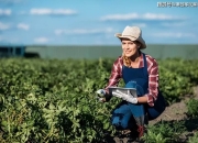 澳洲移民律师：农业领域的哪些职位可以技术移民澳洲？