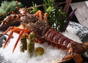 澳洲168-你不知道的地方特色美食-澳大利亚篇 2 澳洲龙虾