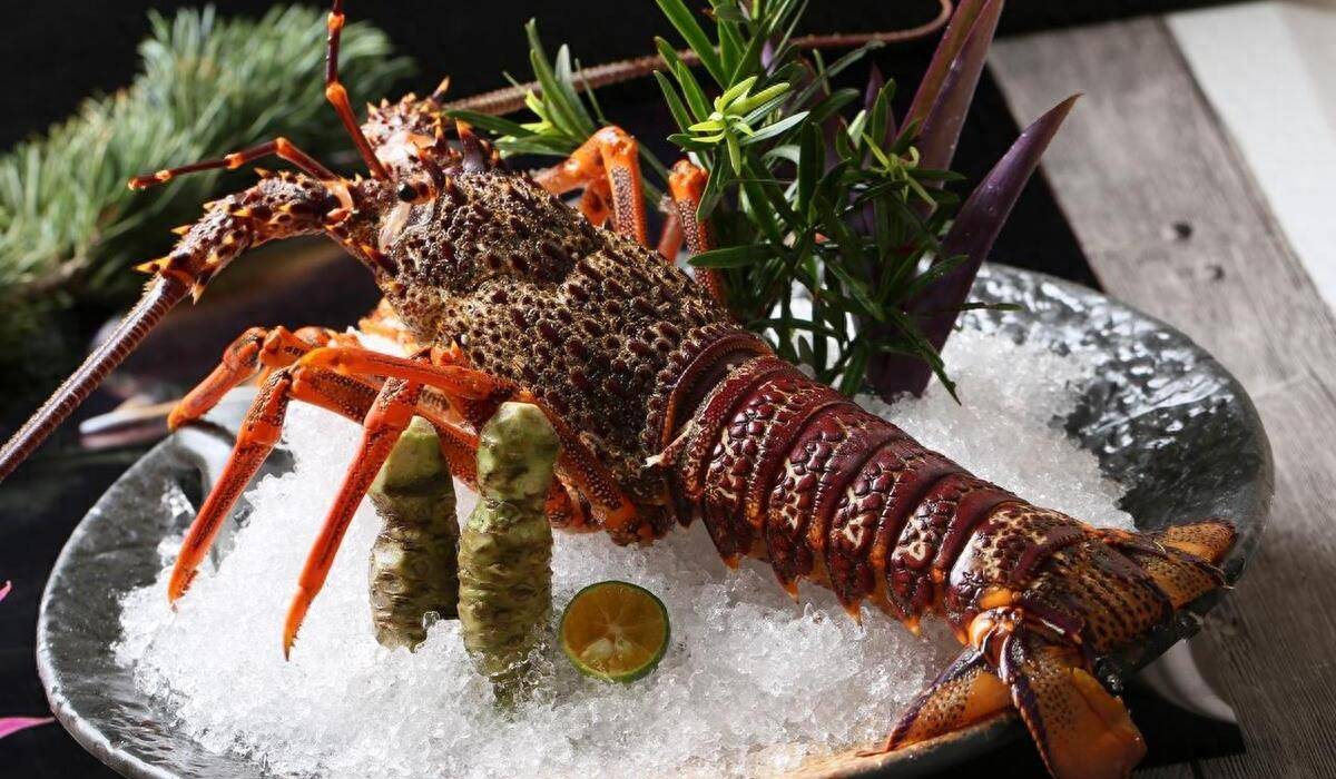 澳洲龙虾-澳洲龙虾你不知道的地方特色美食-澳大利亚篇 2 澳洲龙虾