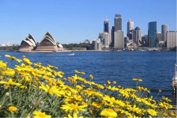 澳洲168-澳大利亚预计移民人数减少一半，收紧学生签证规定